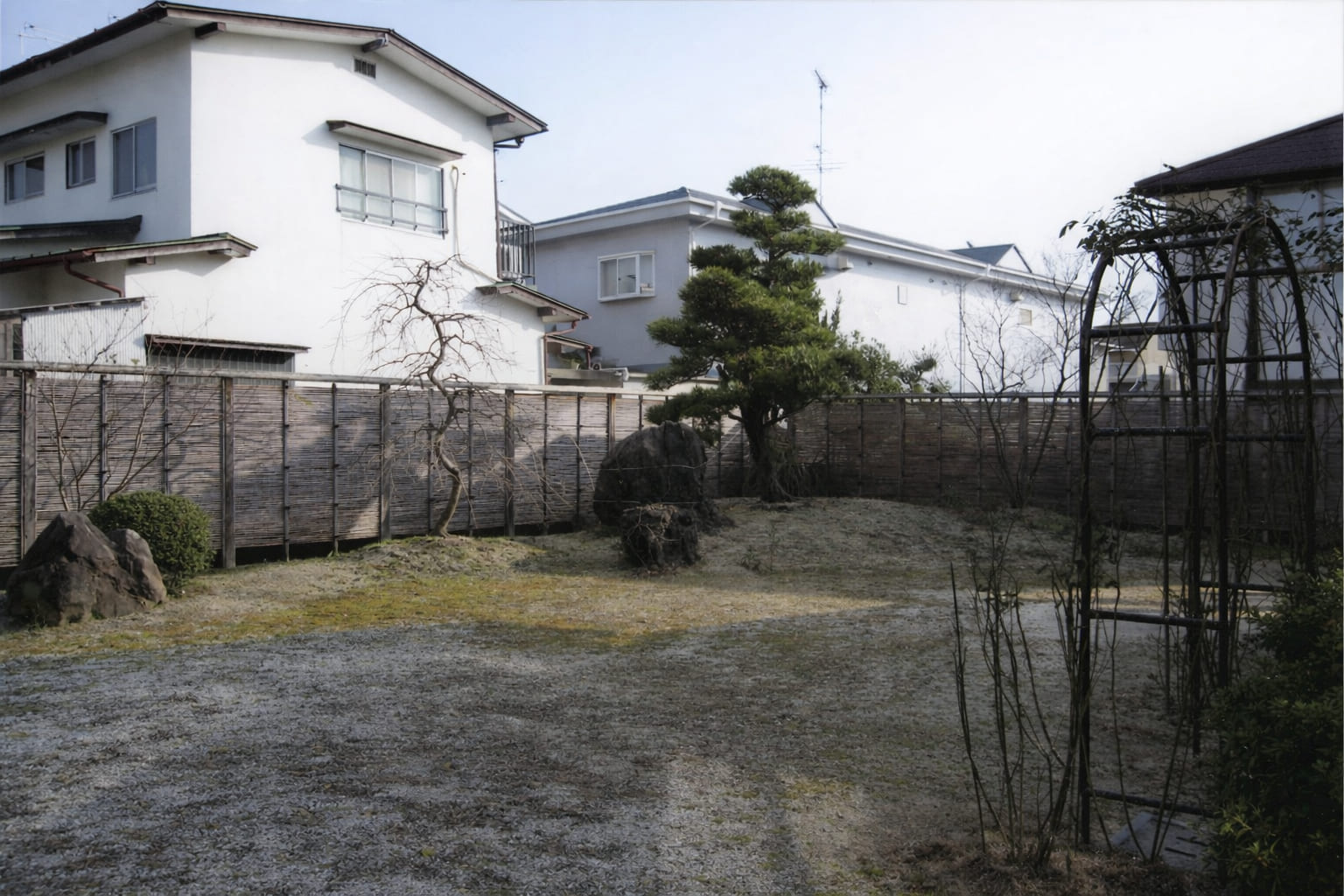 土壌