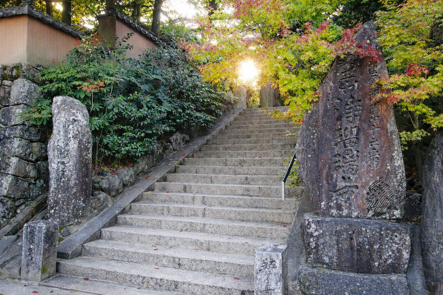浄瑠璃寺の一千本の牡丹植栽