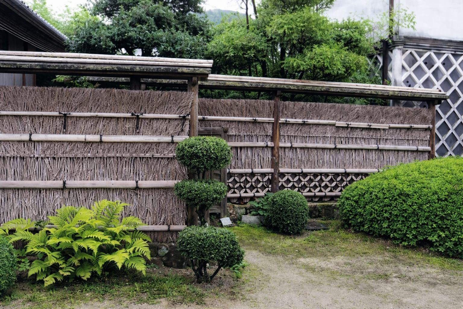竹垣 5